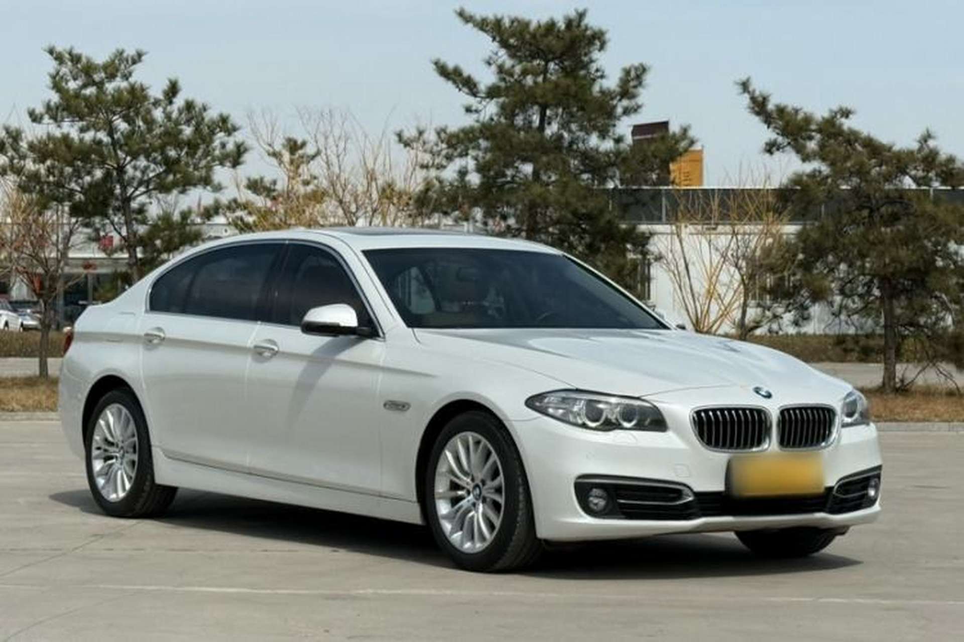 Used BMW 5 Series 2014 525Li Luxury Design Package Exterior 11