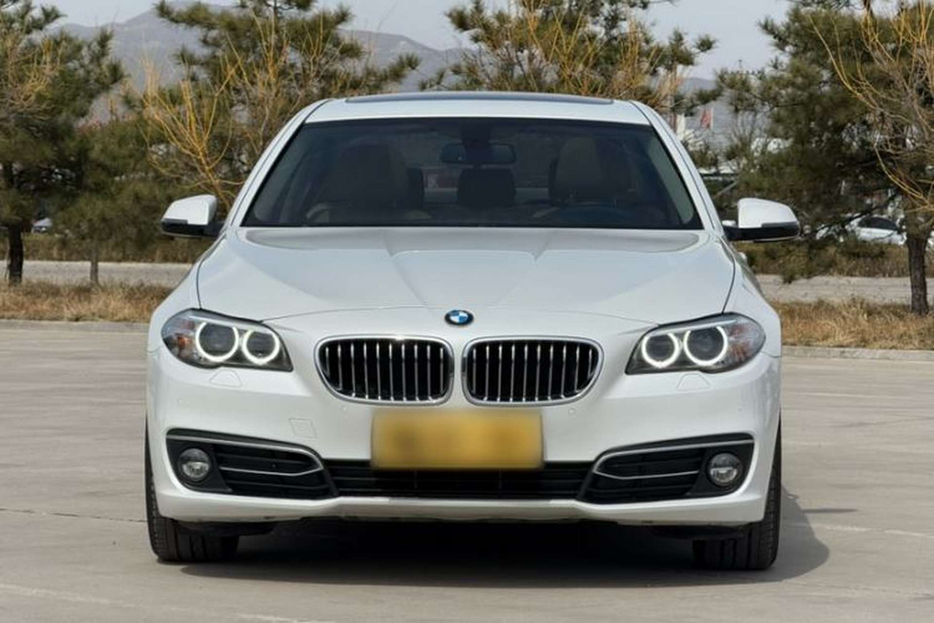 Used BMW 5 Series 2014 525Li Luxury Design Package Exterior 12