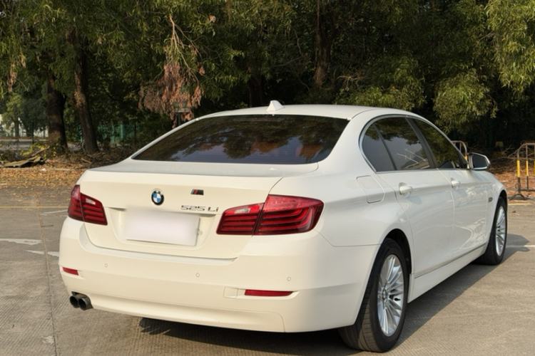 Used BMW 5 Series 2014 525Li Leading Model Exterior 4