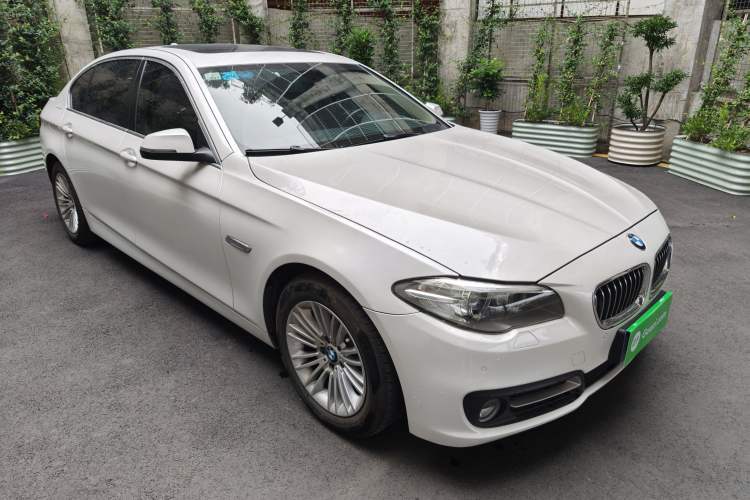 Used BMW 5 Series 2014 525Li Leading Model Exterior 5