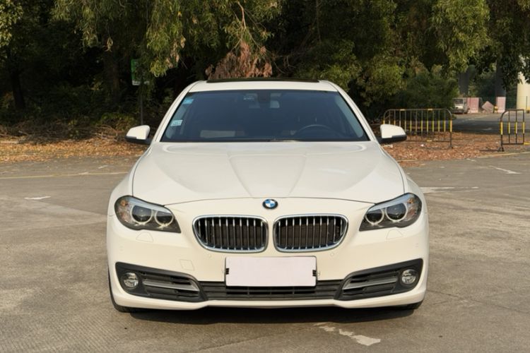 Used BMW 5 Series 2014 525Li Leading Model Exterior 5