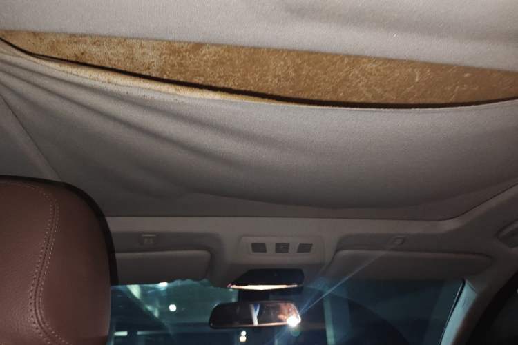 Used BMW 5 Series 2014 520Li Elegant Model Headliner