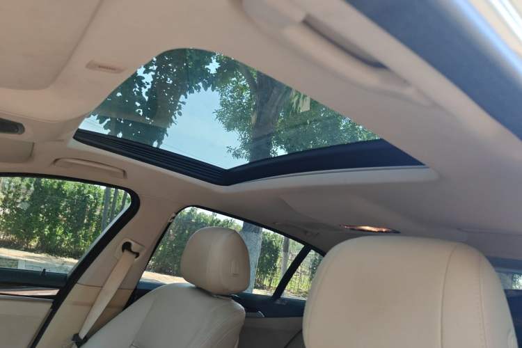 Used BMW 5 Series 2014 520Li Elegant Model Headliner