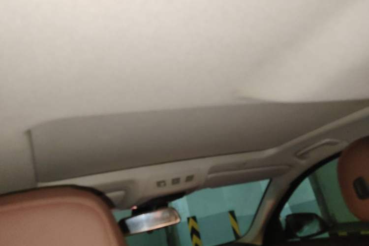 Used BMW 5 Series 2014 520i Elegant Edition Headliner