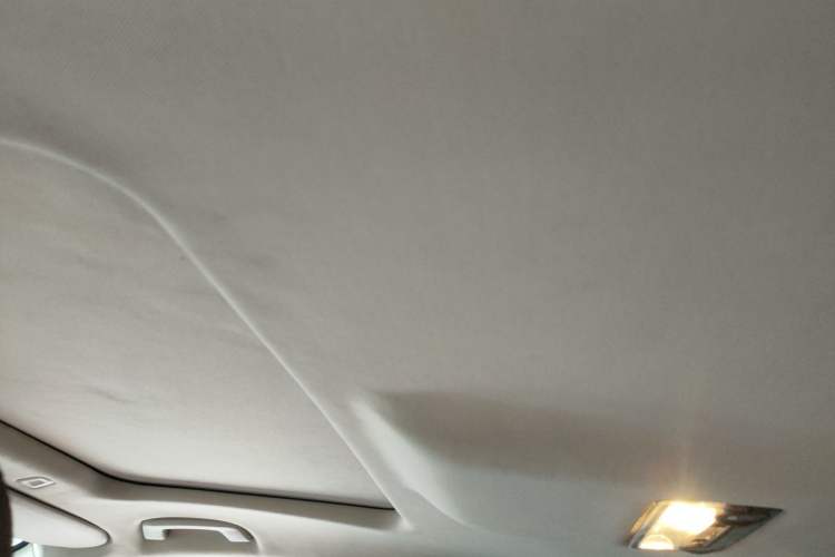 Used BMW 5 Series 2014 520Li Elegant Model Headliner
