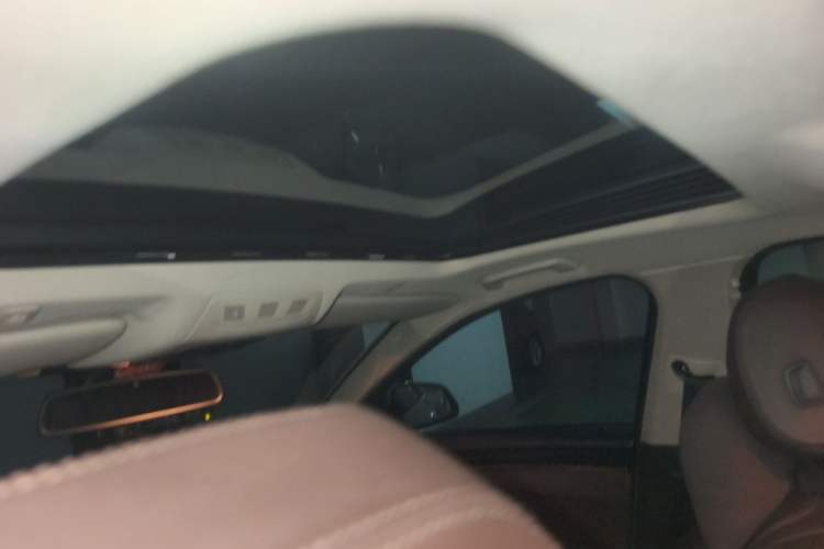 Used BMW 5 Series 2014 525Li Luxury Design Package Headliner