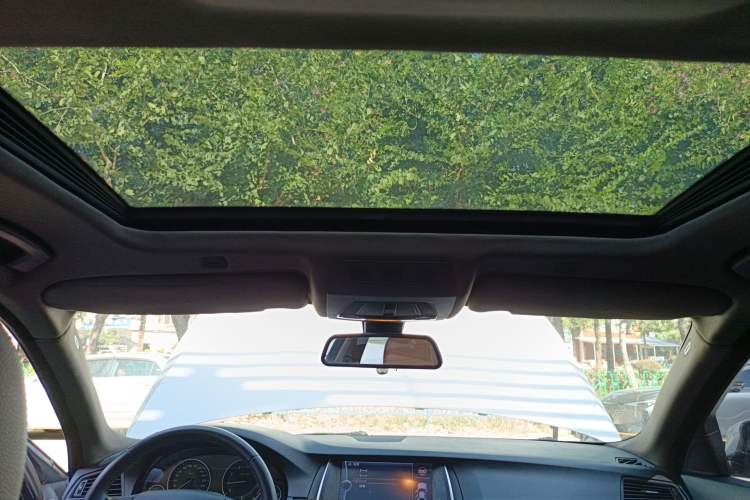 Used BMW 5 Series 2014 525Li Leading Model Headliner
