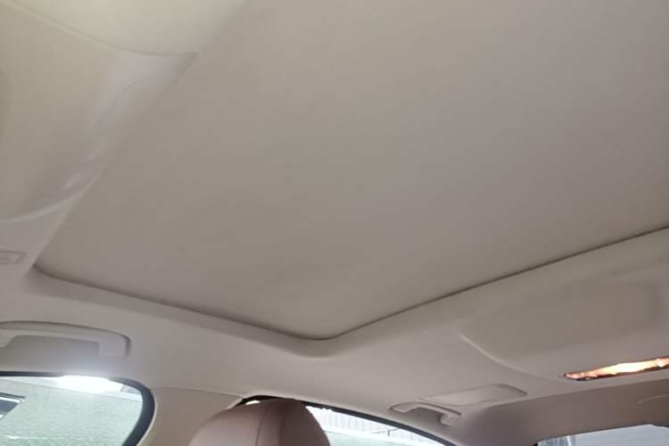 Used BMW 5 Series 2014 525Li Leading Model Headliner