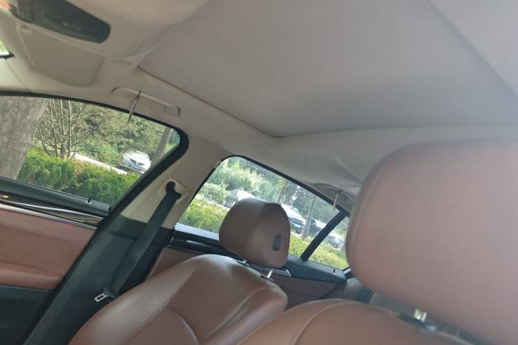 Used BMW 5 Series 2014 525Li Leading Model Headliner