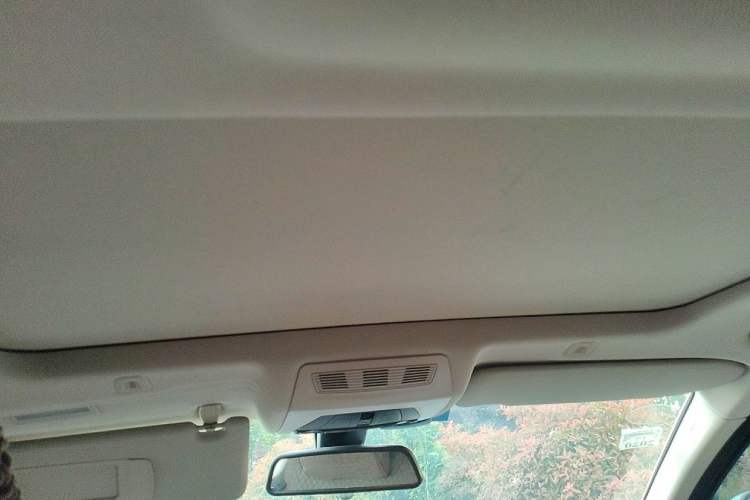Used BMW 5 Series 2014 525Li Leading Model Headliner