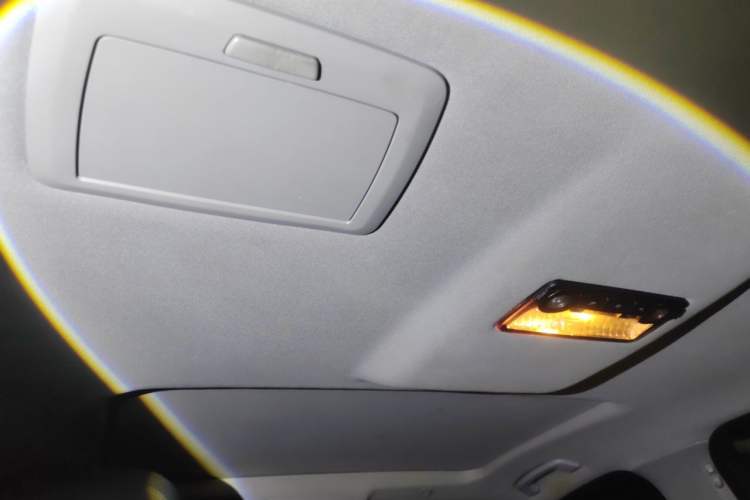 Used BMW 5 Series 2014 525Li Leading Model Headliner