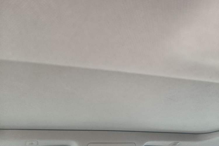 Used BMW 5 Series 2014 520Li Elegant Model Headliner