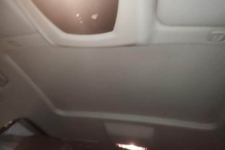 Used BMW 5 Series 2014 535Li Leading Model Headliner