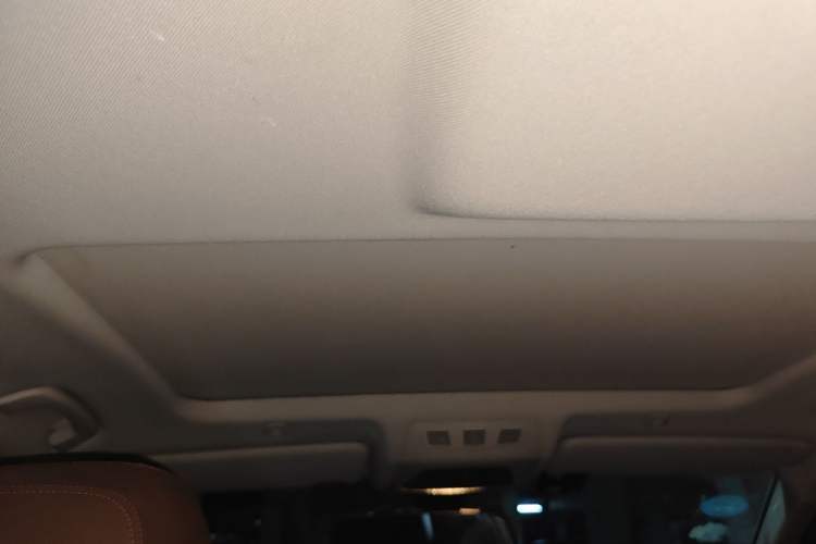 Used BMW 5 Series 2014 520Li Elegant Model Headliner