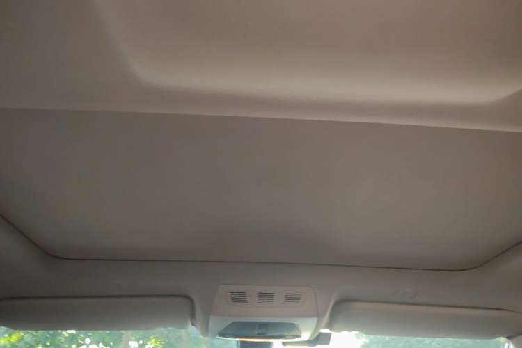 Used BMW 5 Series 2014 520Li Elegant Model Headliner