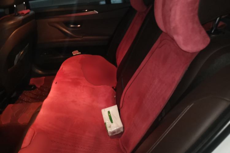Used BMW 5 Series 2014 525Li Leading Model Left Rear Seat