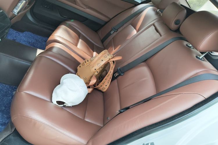 Used BMW 5 Series 2014 520Li Elegant Model Left Rear Seat