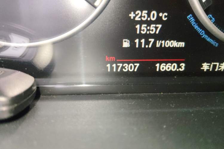 Used BMW 5 Series 2014 520i Elegant Edition Odometer Close Up