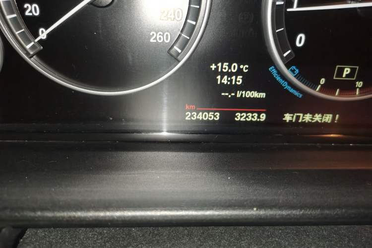 Used BMW 5 Series 2014 525Li Leading Model Odometer Close Up