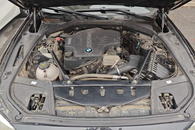 Used BMW 5 Series 2015 520i Elegant Edition Engine Bay