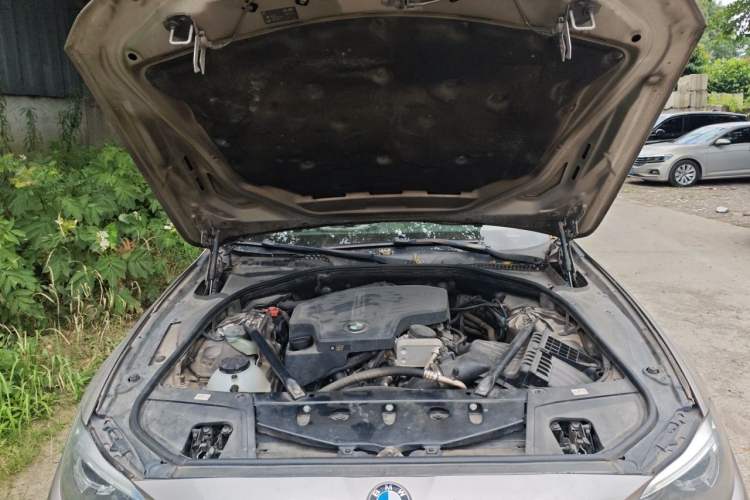 Used BMW 5 Series 2015 520i Elegant Edition Engine Bay