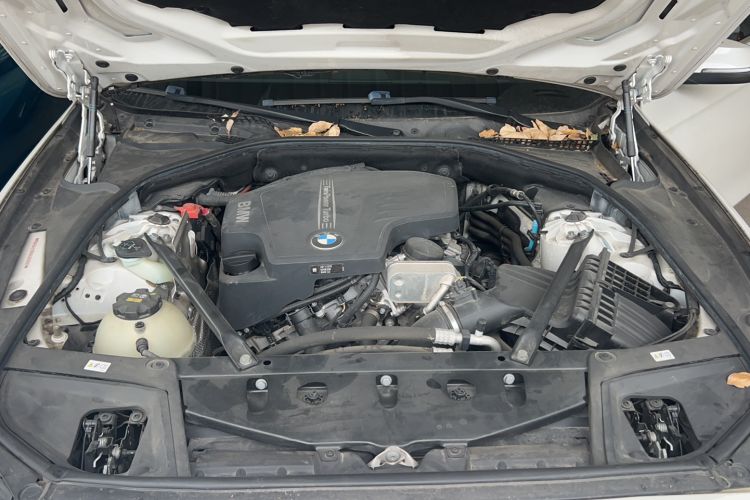 Used BMW 5 Series 2015 520i Elegant Edition Engine Bay