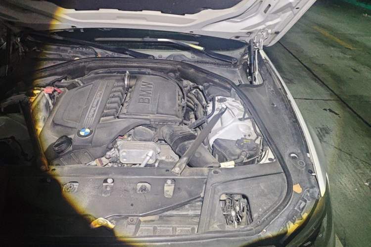 Used BMW 5 Series 2015 535Li Leading Model Engine Bay Left