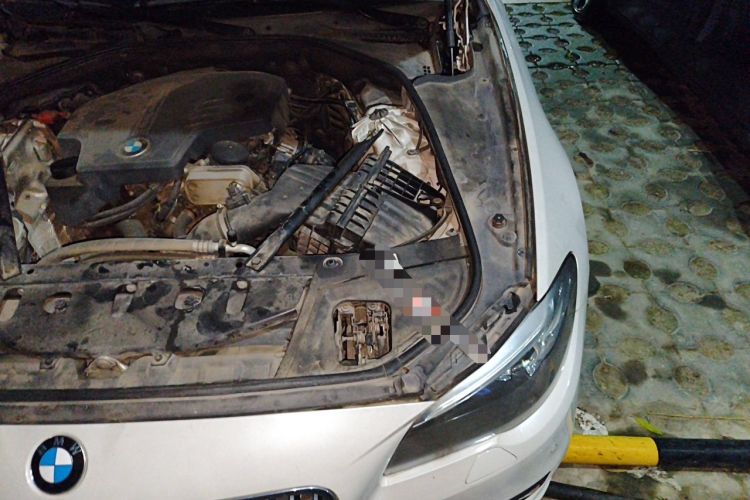 Used BMW 5 Series 2015 520i Elegant Edition Engine Bay Left