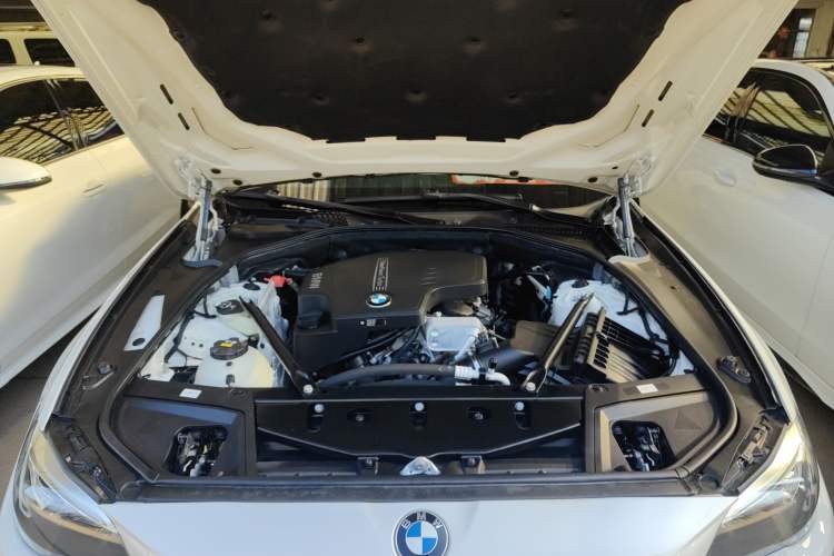 Used BMW 5 Series 2015 520i Elegant Edition Engine Bay