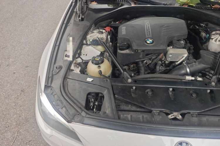 Used BMW 5 Series 2015 520i Elegant Edition Engine Bay Right