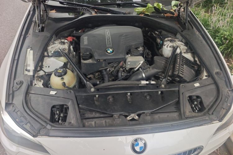 Used BMW 5 Series 2015 520i Elegant Edition Engine Bay