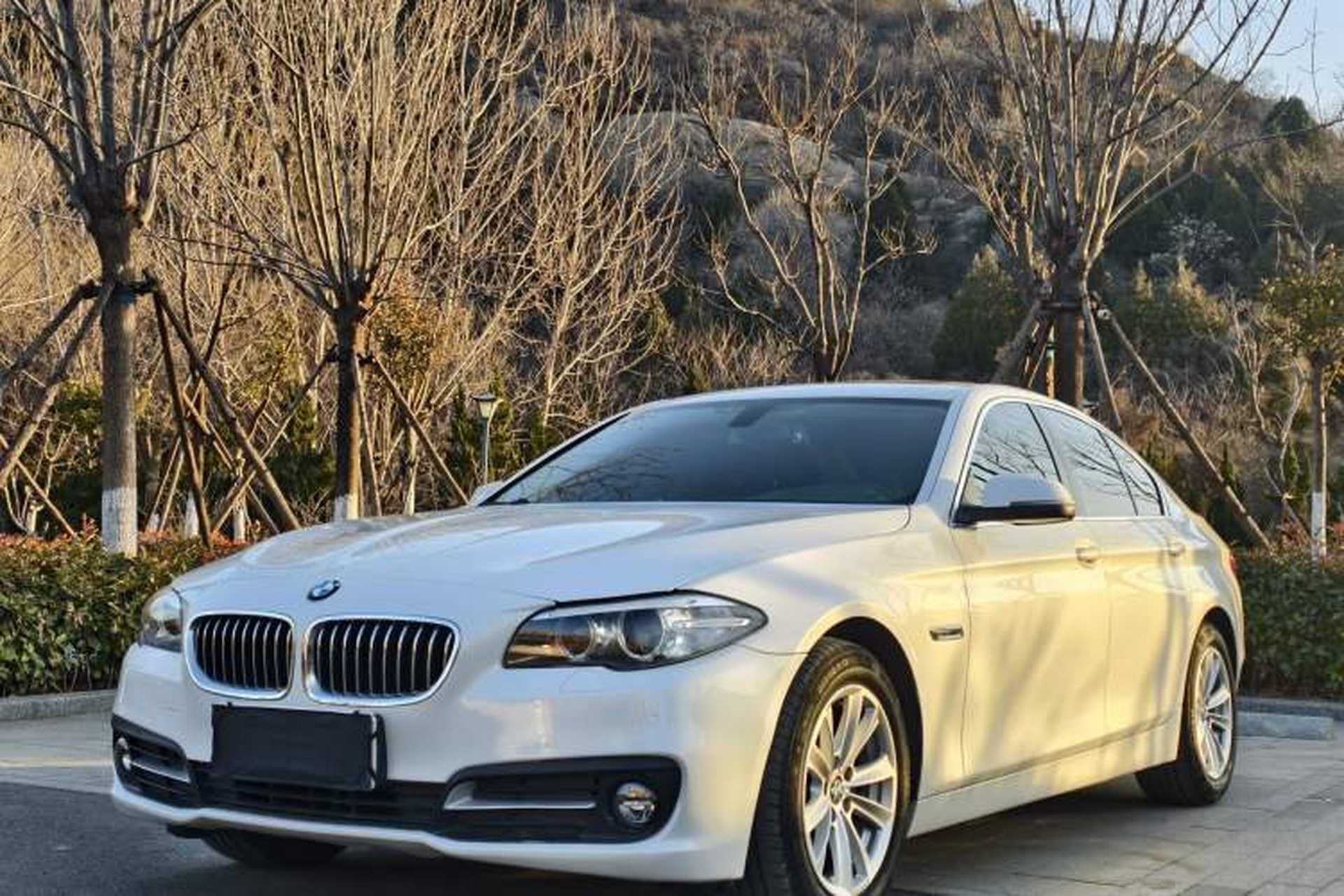 Used BMW 5 Series 2015 520i Elegant Edition Front Left 45 Deg