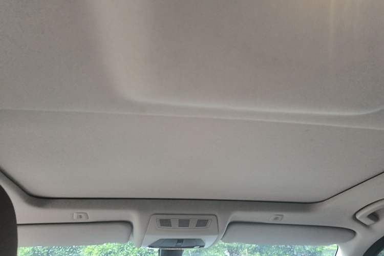 Used BMW 5 Series 2015 520i Elegant Edition Headliner