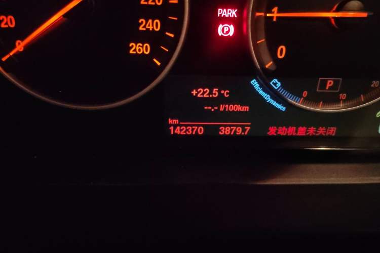 Used BMW 5 Series 2015 520i Elegant Edition Odometer Close Up