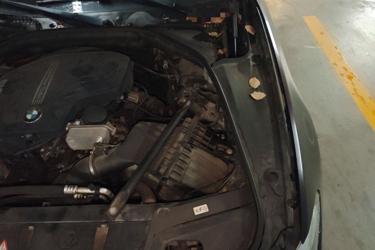 Used BMW 5 Series 2017 528Li Leading Model Engine Bay Left