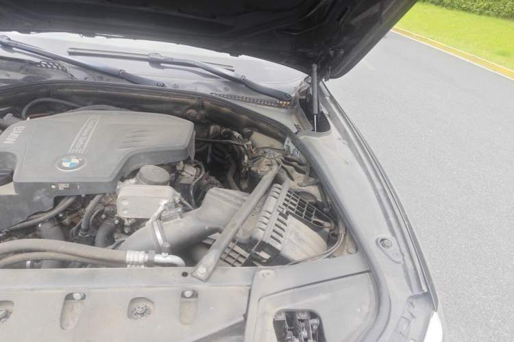 Used BMW 5 Series 2017 520Li Elegant Edition Engine Bay Left