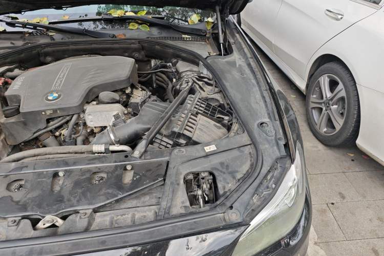 Used BMW 5 Series 2017 520Li Elegant Edition Engine Bay Left