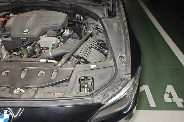 Used BMW 5 Series 2017 525Li Luxury Design Package Engine Bay Left