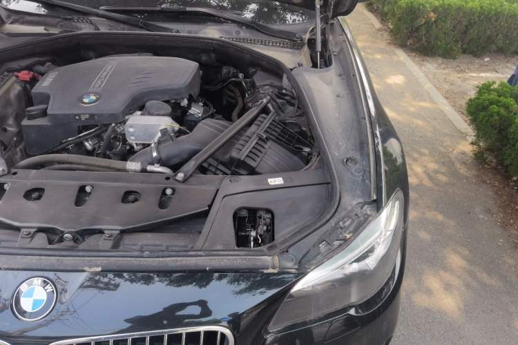 Used BMW 5 Series 2017 525Li Leading Model Engine Bay Left