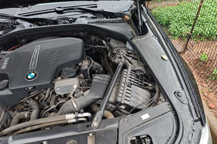 Used BMW 5 Series 2017 525Li Luxury Design Package Engine Bay Left