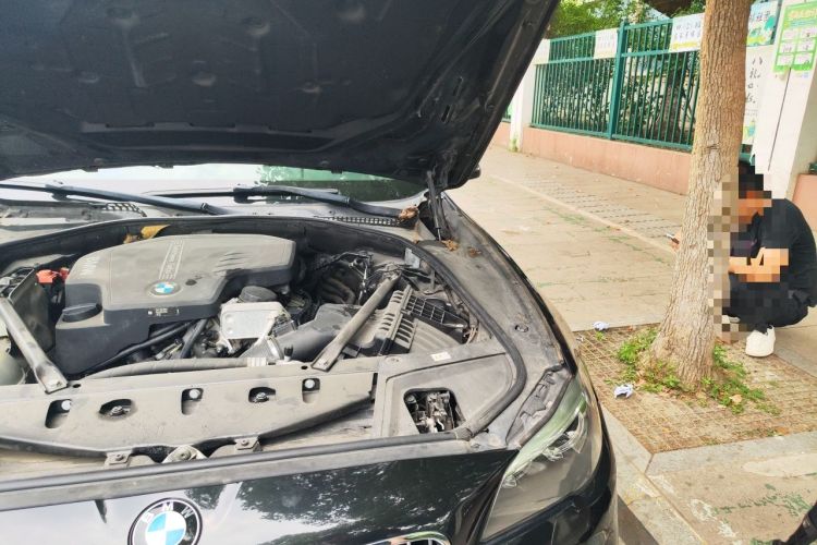 Used BMW 5 Series 2017 520Li Elegant Edition Engine Bay Left