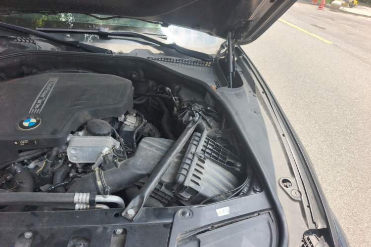 Used BMW 5 Series 2017 525Li Leading Model Engine Bay Left
