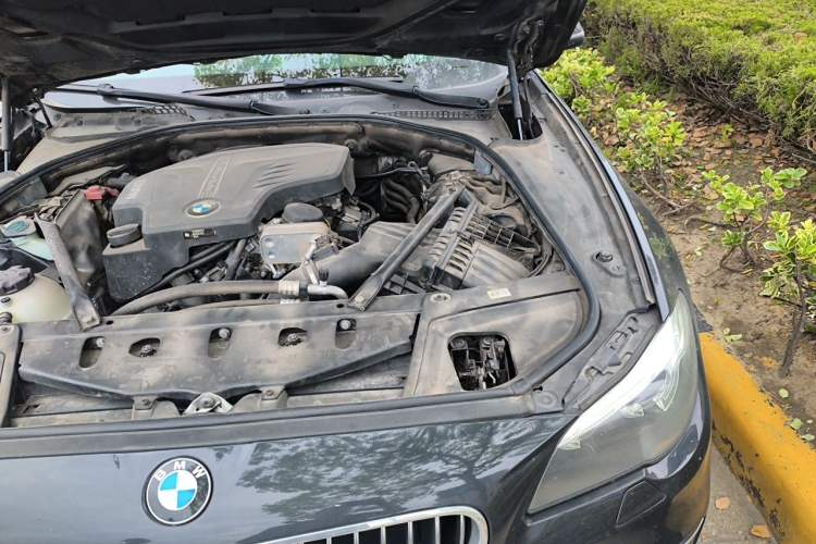 Used BMW 5 Series 2017 525Li Luxury Design Package Engine Bay Left