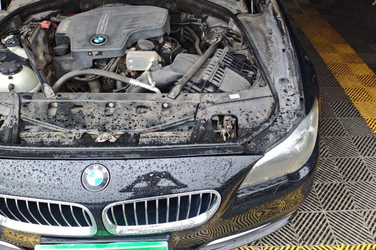 Used BMW 5 Series 2017 525Li Leading Model Engine Bay Left
