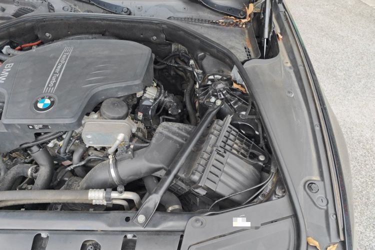 Used BMW 5 Series 2017 525Li Luxury Design Package Engine Bay Left