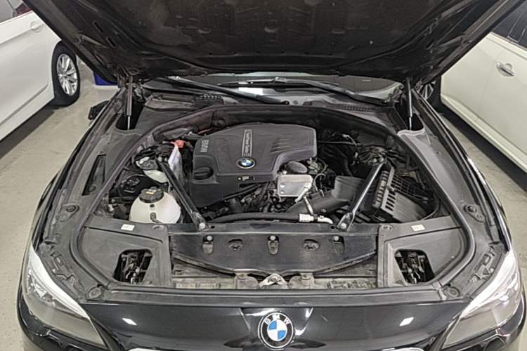 Used BMW 5 Series 2017 520Li Elegant Edition Engine Bay
