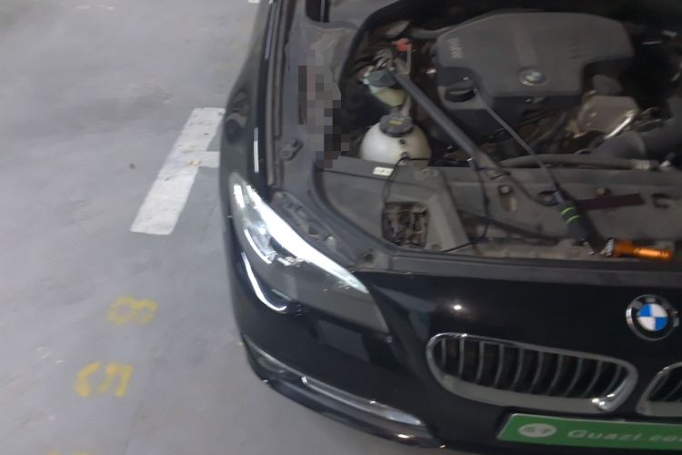 Used BMW 5 Series 2017 525Li Luxury Design Package Engine Bay Right