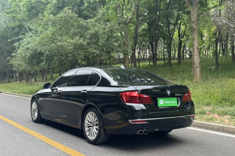Used BMW 5 Series 2017 525Li Luxury Design Package Exterior 5