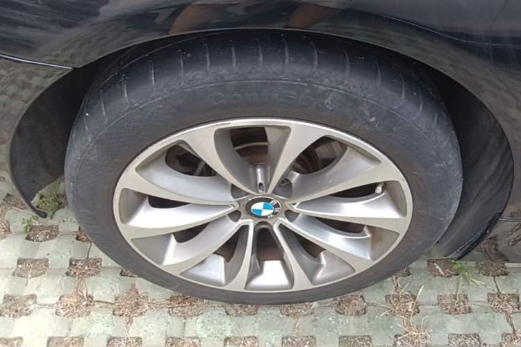 Used BMW 5 Series 2017 525Li Leading Model Exterior 5