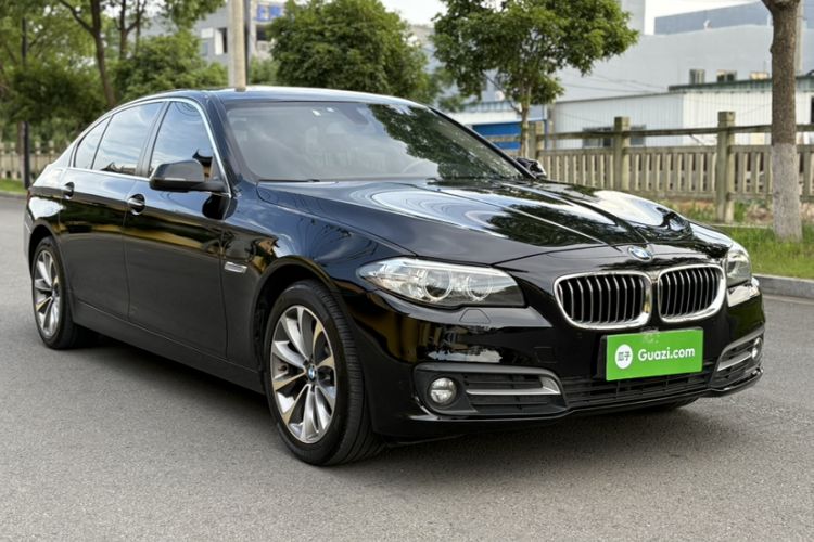 Used BMW 5 Series 2017 525Li Leading Model Exterior 5